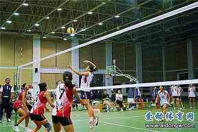 法兰克福篮球赛事结果